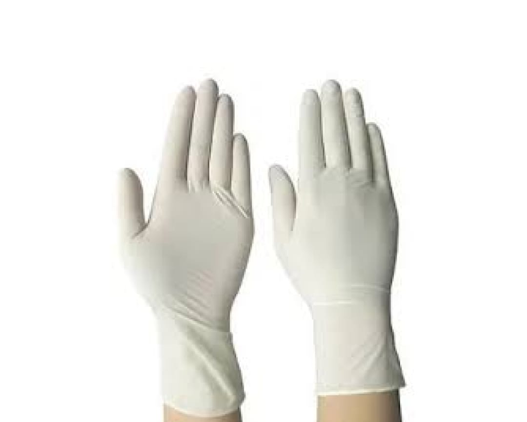 Latex Examination Gloves's cover image